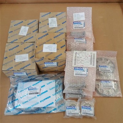 Pump Repair Kit PC300-8 For Komatsu Excavator Spare Parts